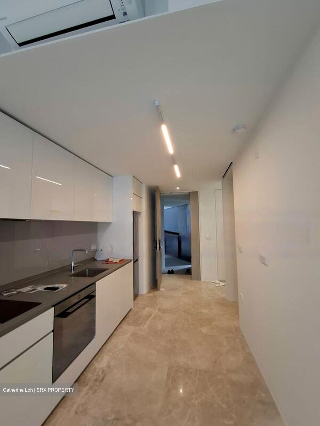 Amber Park (D15), Condominium #453351001